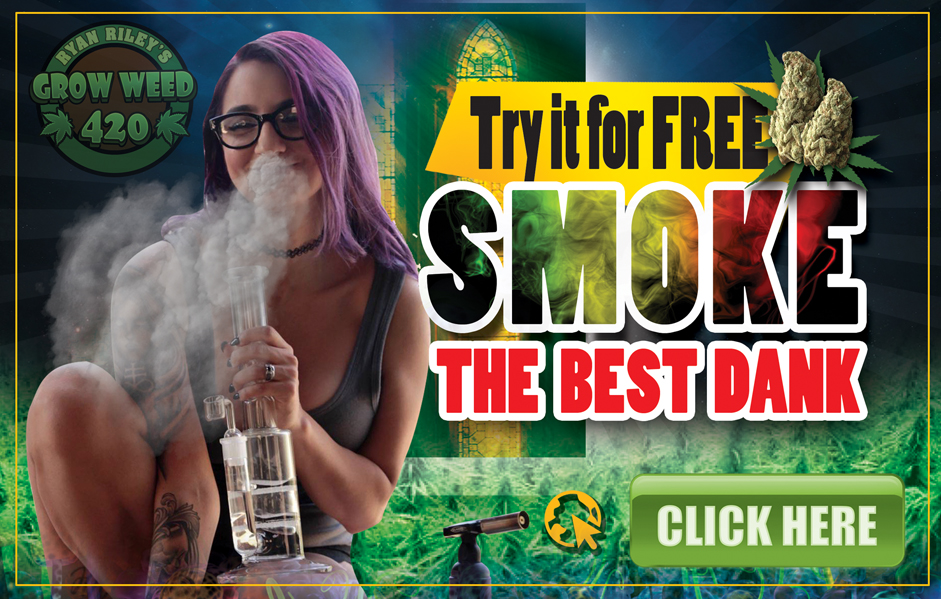 howtogrowweed420.com