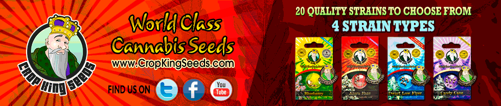 cropkingseeds.com